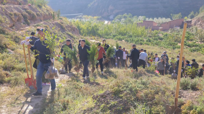 履行省屬企業(yè)責(zé)任 厚植南北兩山綠色——甘肅文旅集團(tuán)開展秋季義務(wù)植樹活動